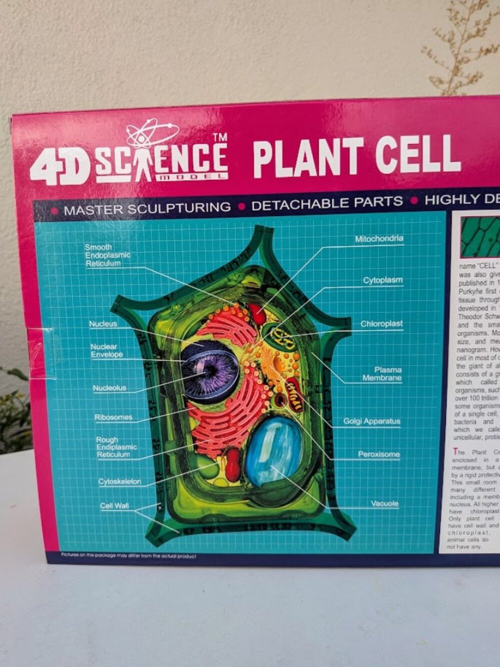 New 4D Master STEM Plant Cell Anatomy Model Kit (Ages 8+) Science Biology Toy